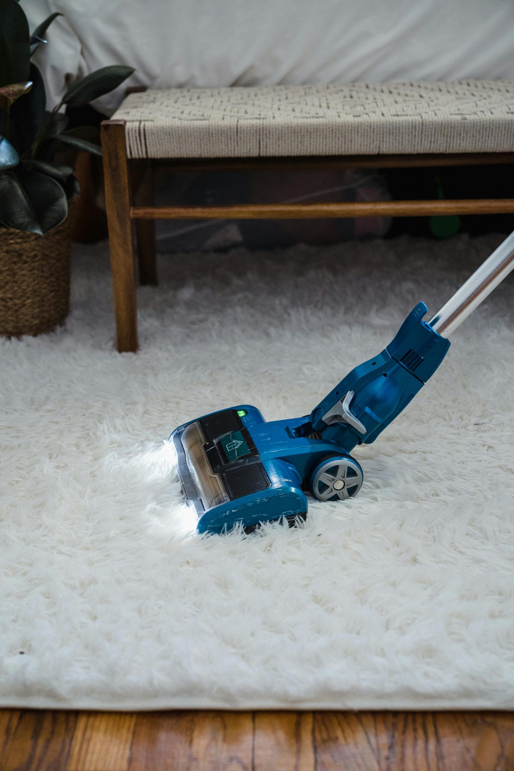 carpet Cleaning ottawa