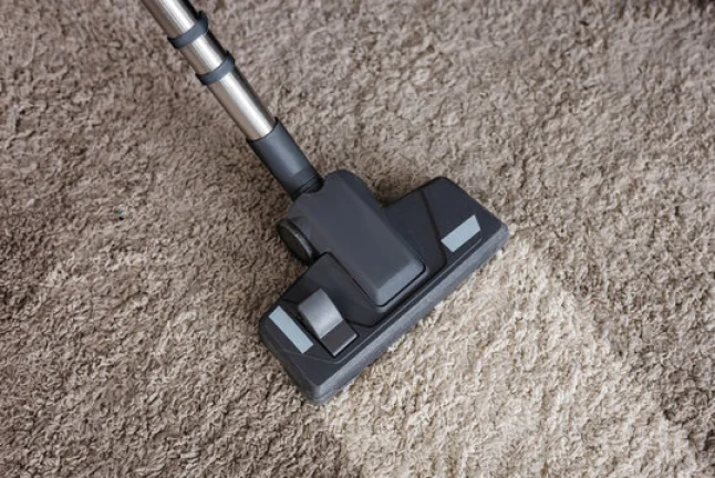 Carpet Stains & Pet Odor Removal