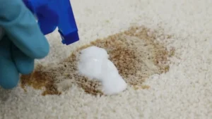 Carpet Stains and Pet Odors removel