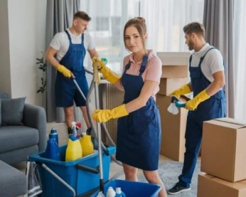 deep move out house cleaning deep move out house cleaning