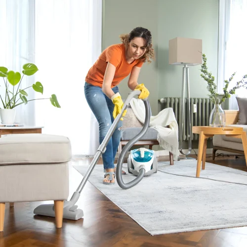 house cleaning service ottawa house cleaning service ottawa